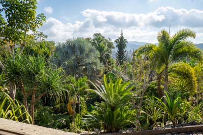 photo of gardens and mountains